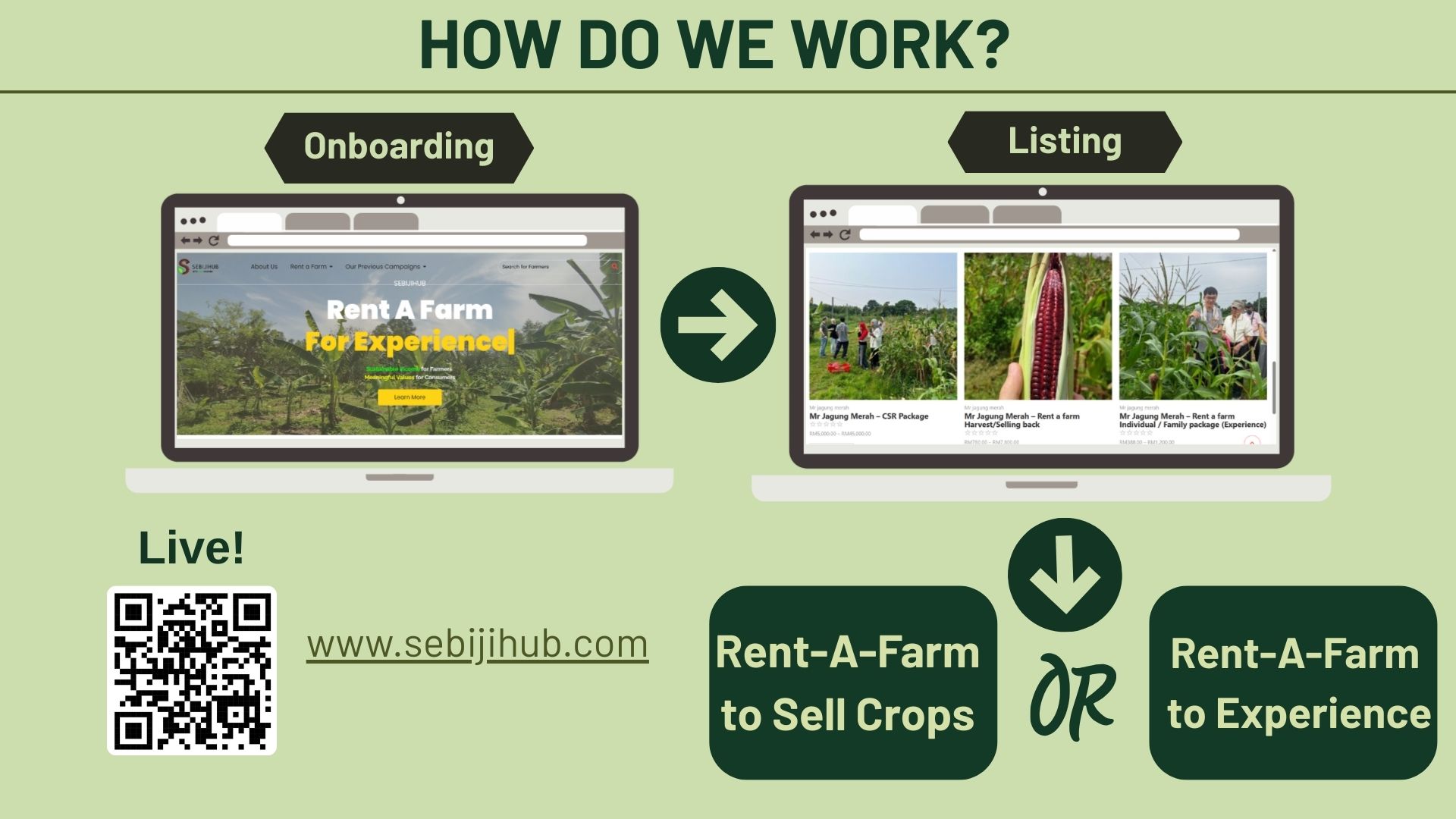 How the platform works: onboarding and listing