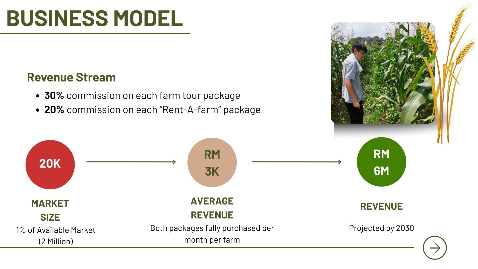 Business model and revenue projection